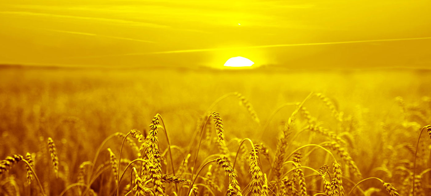 வண்ண தீர்வுகளை வழங்குவதை நாங்கள் விரும்புகிறோம்